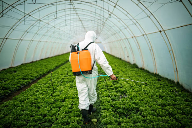 Best Pest Prevention Services  in Todd Creek, CO