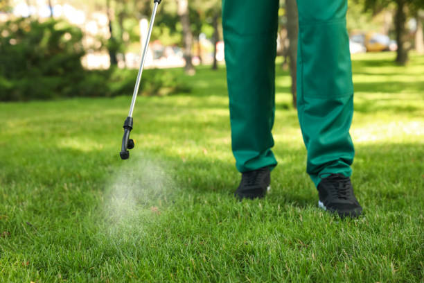 Best Commercial Pest Control Services  in Todd Creek, CO